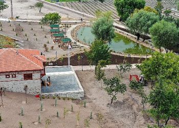 Başkent’in En Otantik Nilüfer Havuzu Keçiören’de