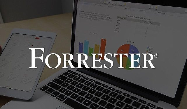 Bıtdefender önde gelen bağımsız araştırma firması tarafından uç nokta güvenliğinde önder olarak seçildi