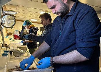 Biyoçeşitlilikte Ekim Ayı Araştırması Tamam