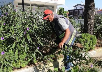 Burhaniye’nin Parklarında Yaz Sonu Bakımı Yapılıyor