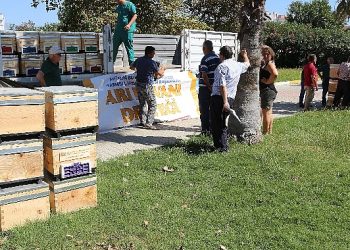 Büyükşehir’den Serikli Arıcılara Kovan Takviyesi