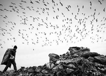 Çöpüne Sahip Çık Vakfı ve Büyük Efes Sanat  Etraf için Bir Defa Daha “Farkında mısın?” Diye Soruyor!  