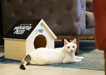 Doğtaş Patili Dostlarının Kalplerini Isıtıyor