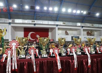 Dünyanın En Büyük Kanarya Yarışı Edremit’te