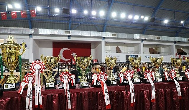 Dünyanın En Büyük Kanarya Yarışı Edremit’te