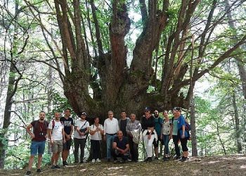 Efeler Yolu Projesine Memleketler arası Ödül