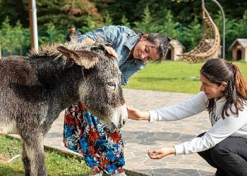 Hepsiburada, 4 Ekim Hayvanları Muhafaza Günü’nde Can Dostlarımızı Unutmadı
