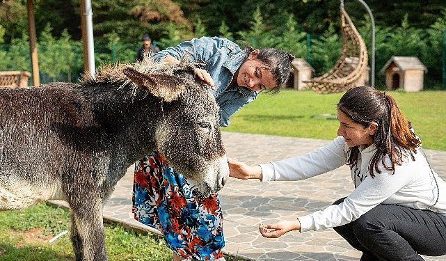 Hepsiburada, 4 Ekim Hayvanları Muhafaza Günü’nde Can Dostlarımızı Unutmadı