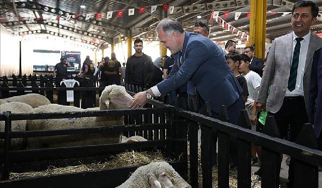 İnegöl’de 3. Küçükbaş Hayvancılık Şenliği Başladı