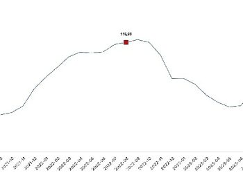 İnşaat maliyet endeksi yıllık yüzde 66,46 arttı, aylık yüzde 4,62 arttı