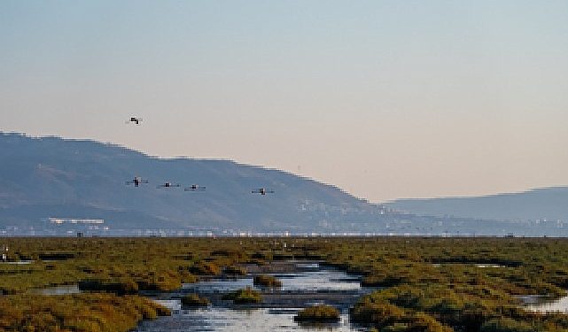 İzmir, Gediz Deltası projesiyle Ufuk Avrupa Programı’nı Kazandı