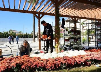 Karabağlar belediyesi 100 Yıl Uğur Mumcu Parkı kasımpatlarıyla renklendi