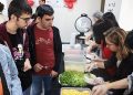 Koreliler Gaechunjeol’u Çankaya’da Kutladı