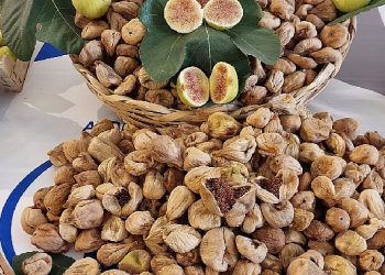 Kuru İncir İhracatında Tarihi Rekor 73 Bin 388 Ton Kuru İncir İhraç Ettik 260 Milyon Dolar Döviz Kazandık