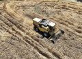 Mudanya belediyesi’nde topraktan halka, tarladan sofraya buğday unu