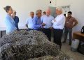 Muğla’da Büyükşehir Belediyesi’nin Ziraî Güçbirliği Projesi Üreticiye Kazandırıyor