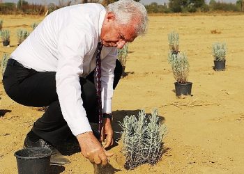 Ödemiş Belediyesi’nden “Tıbbi-Aromatik Bitki Bahçesi” atılımı