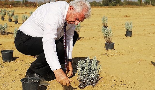 Ödemiş Belediyesi’nden “Tıbbi-Aromatik Bitki Bahçesi” atılımı
