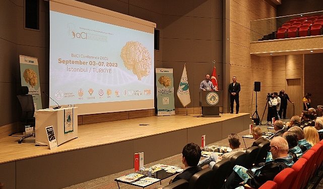 Psikiyatrinin Geleceği Beyin Haritalama ve Şahsileştirilmiş İlaçlarda