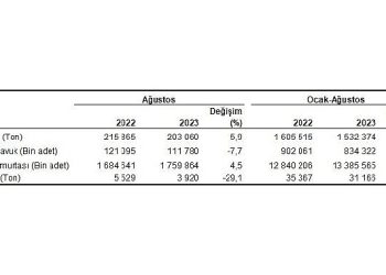 Tavuk eti üretimi 203 bin 60 ton, tavuk yumurtası üretimi 1,76 milyar adet olarak gerçekleşti