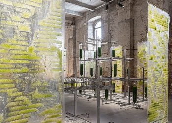 Vaktin Ötesinde Tasarım Kaşifleri Aktifliği, Sekizinci Yılında ecoLogicStudio’yu Ağırladı