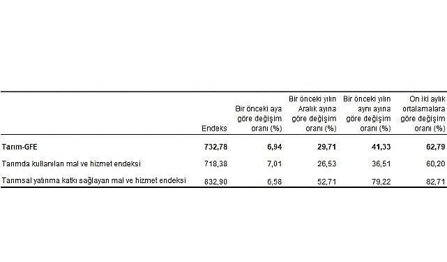 Ziraî girdi fiyat endeksi (Tarım-GFE) yıllık yüzde 41,33, aylık yüzde 6,94 arttı