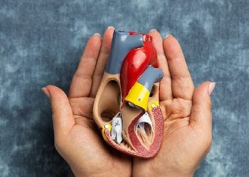 3-9 kasım organ bağışı ve nakli haftası