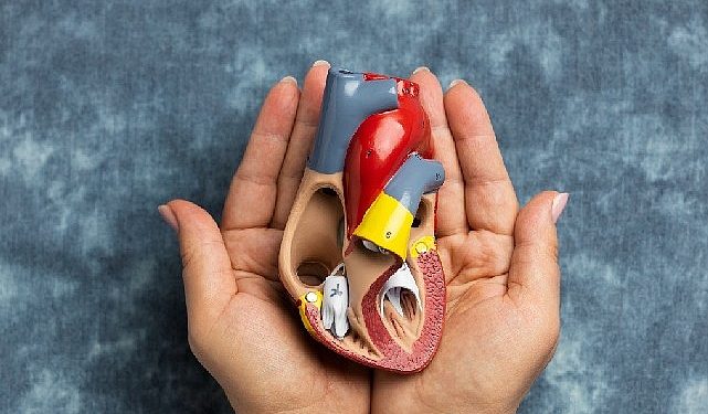 3-9 kasım organ bağışı ve nakli haftası