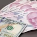 Ekonomistlerden enflasyon ve dolar tahmini
