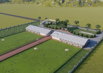 Antalya Büyükşehir Belediyesi hür gezen tavuk çiftliği kuruyor