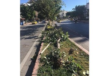 Antalya Büyükşehir takımlarının fırtına mesaisi