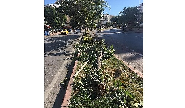 Antalya Büyükşehir takımlarının fırtına mesaisi