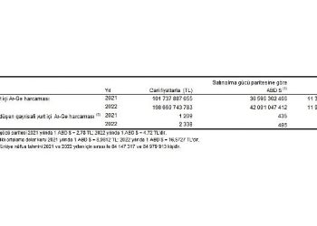 Araştırma-Geliştirme Faaliyetleri Araştırması, 2022