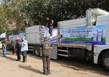 Aydın büyükşehir belediyesi’nden selden etkilenen üreticiye yem takviyesi
