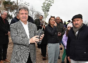 Bornova’da zeytincilik eğitimleri devam ediyor