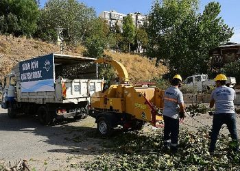 Budanan kısımlar gübreye dönüşüyor