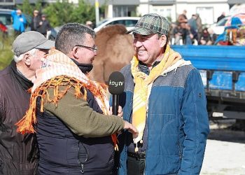 Burhaniye’de develer havutlarını merasimle giydi
