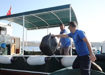 Büyükşehir Gökova Körfezi’nden Günlük 3 Bin 420 Kg. Çöp Topladı
