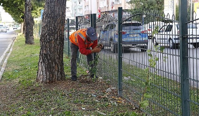 Büyükşehir’den Evliya Çelebi Caddesi’nde refüj çalışması