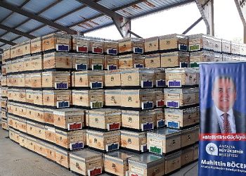 Büyükşehirden üreticilere 2500 arı kovanı takviyesi