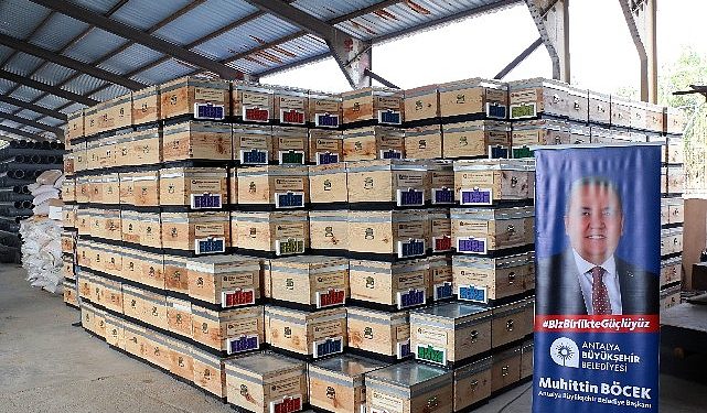Büyükşehirden üreticilere 2500 arı kovanı takviyesi
