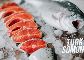 Dünya Türk levreği ve çipurasını taze, Türk somonu ve alabalığını dondurulmuş sevdi