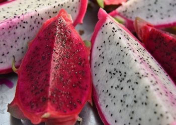 Egzotik dünyanın lezzeti : Ejder meyvesi Mustafakemalpaşa’da