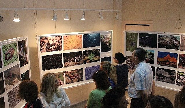 EÜ Fen Fakültesinden “Bilimin İmajları: Fotoğraf Sergisi”