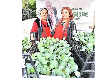 İzmir Büyükşehir’den 2023’te çiftçiye 1 milyon fide