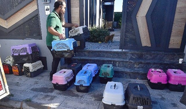 İzmir’de taşınabilir araçla kısırlaştırma hizmeti sürüyor