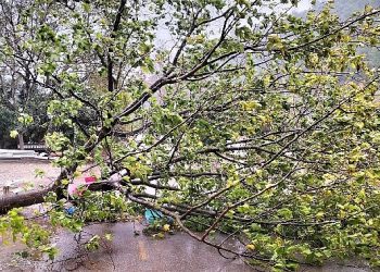 Kemer Belediye takımları teyakkuzda