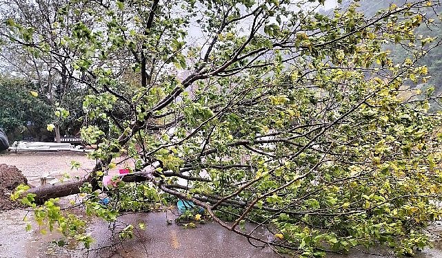 Kemer Belediye takımları teyakkuzda