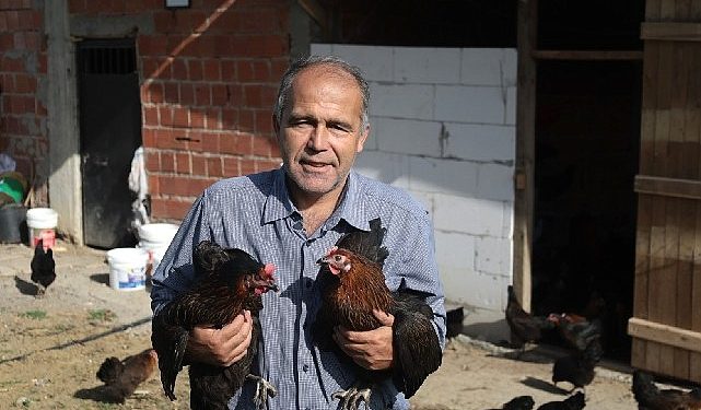 Kocaeli’de yüzde 50 hibeli tavuk dayanağı üreticilerin yüzünü güldürdü