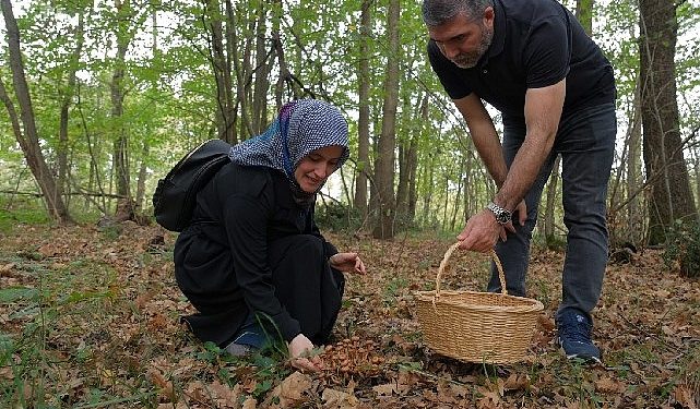 Kocaeli’nde Ormanya’da mantar avı düzenlendi